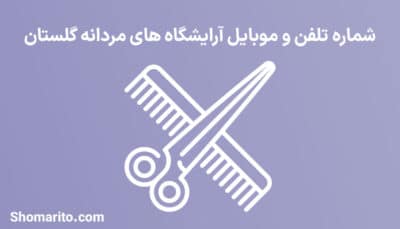 اطلاعات آرایشگاه های مردانه استان گلستان