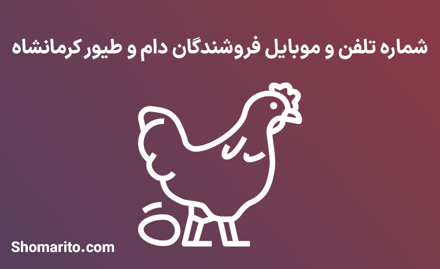 شماره تلفن و موبایل فروشندگان دام و طیور کرمانشاه