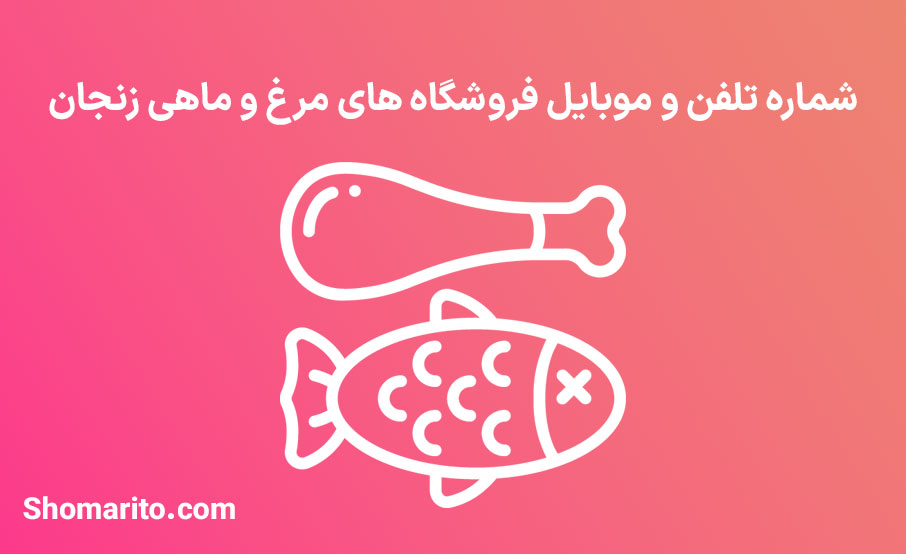 شماره تلفن و موبایل مرغ و ماهی فروشان زنجان